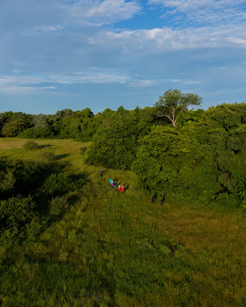 Small group on a guided trek across the fields, seen from above
