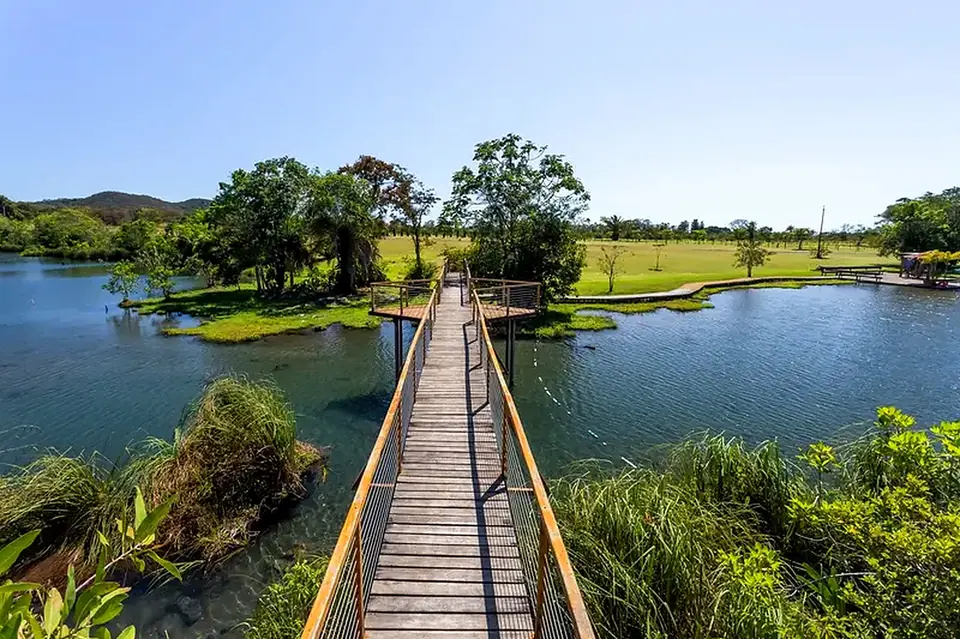 Wooden boardwalk over clear water in Bonito