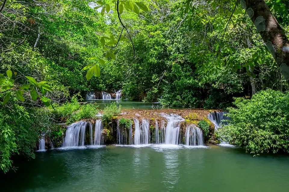 Cascades and emerald pools in the forest