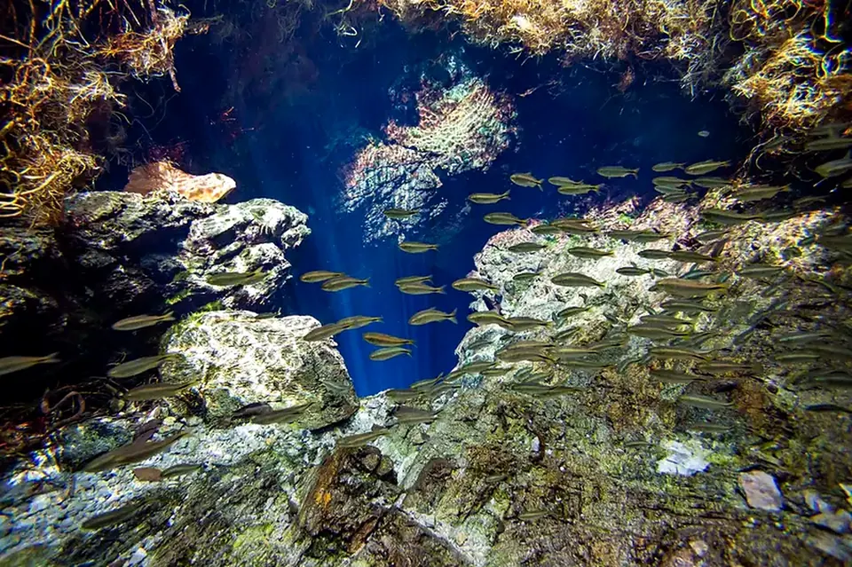 Fish swimming through an underwater rock formation in Bonito