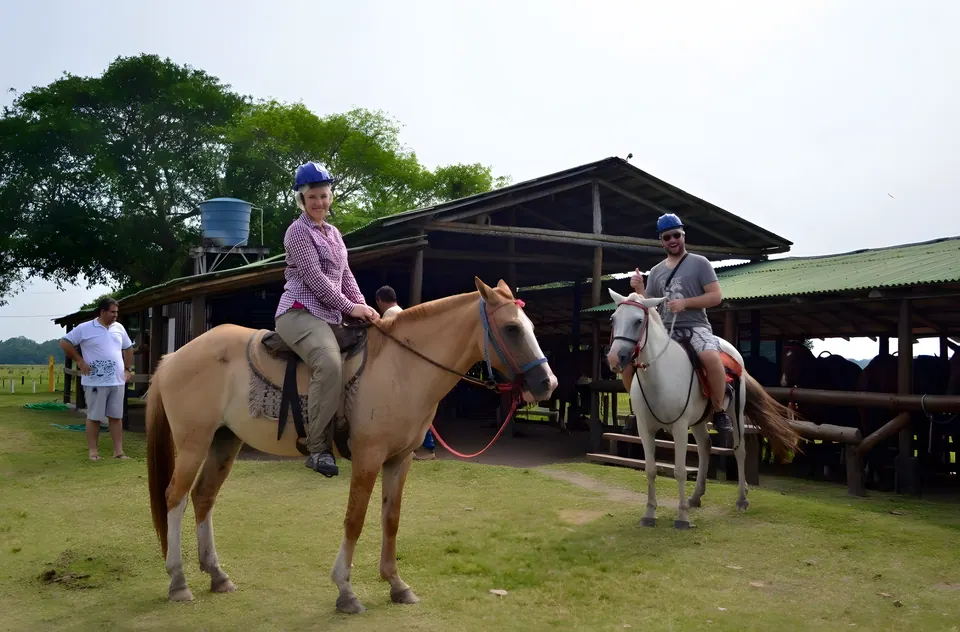 Horses ready for a ride at the farm