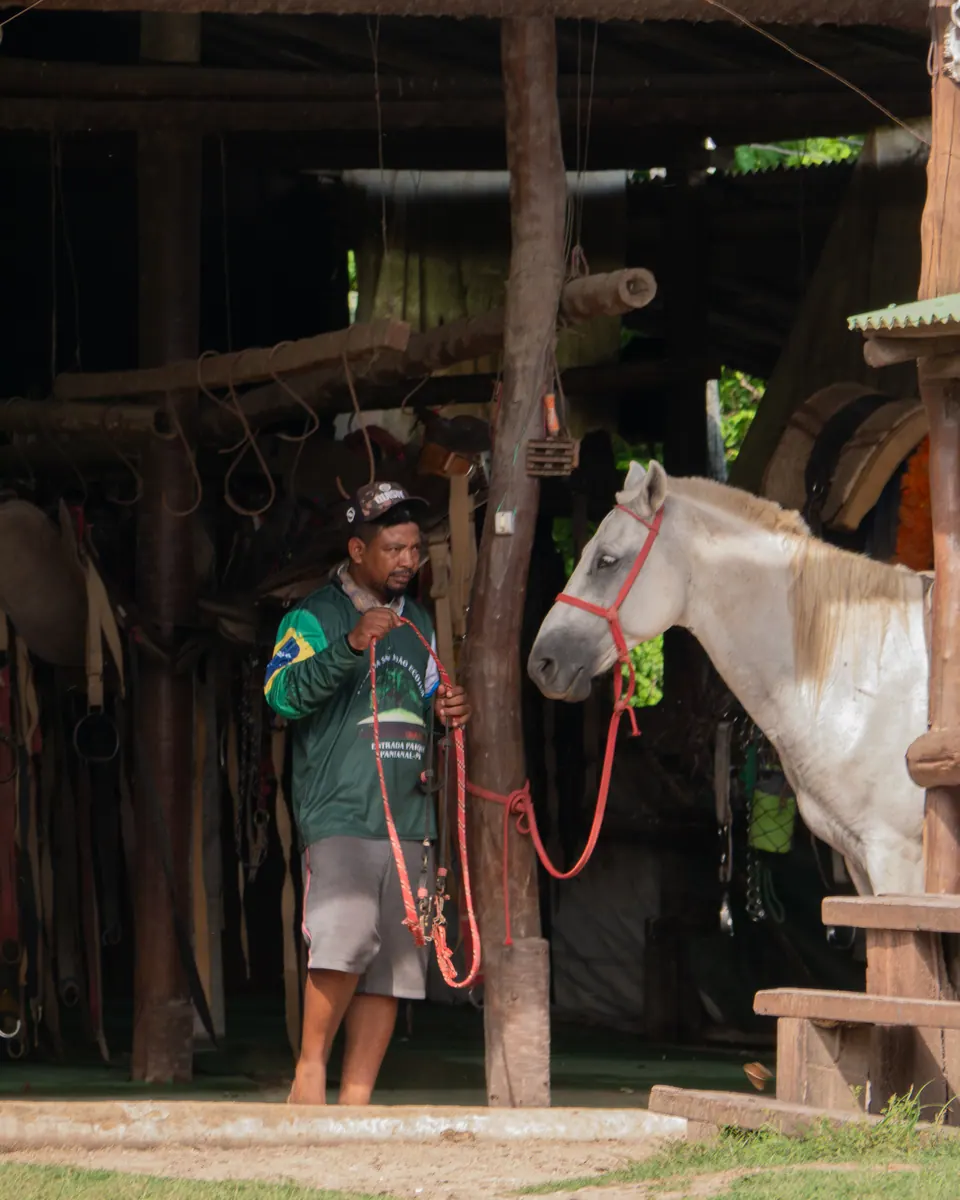 Farm hand with a horse at the stable