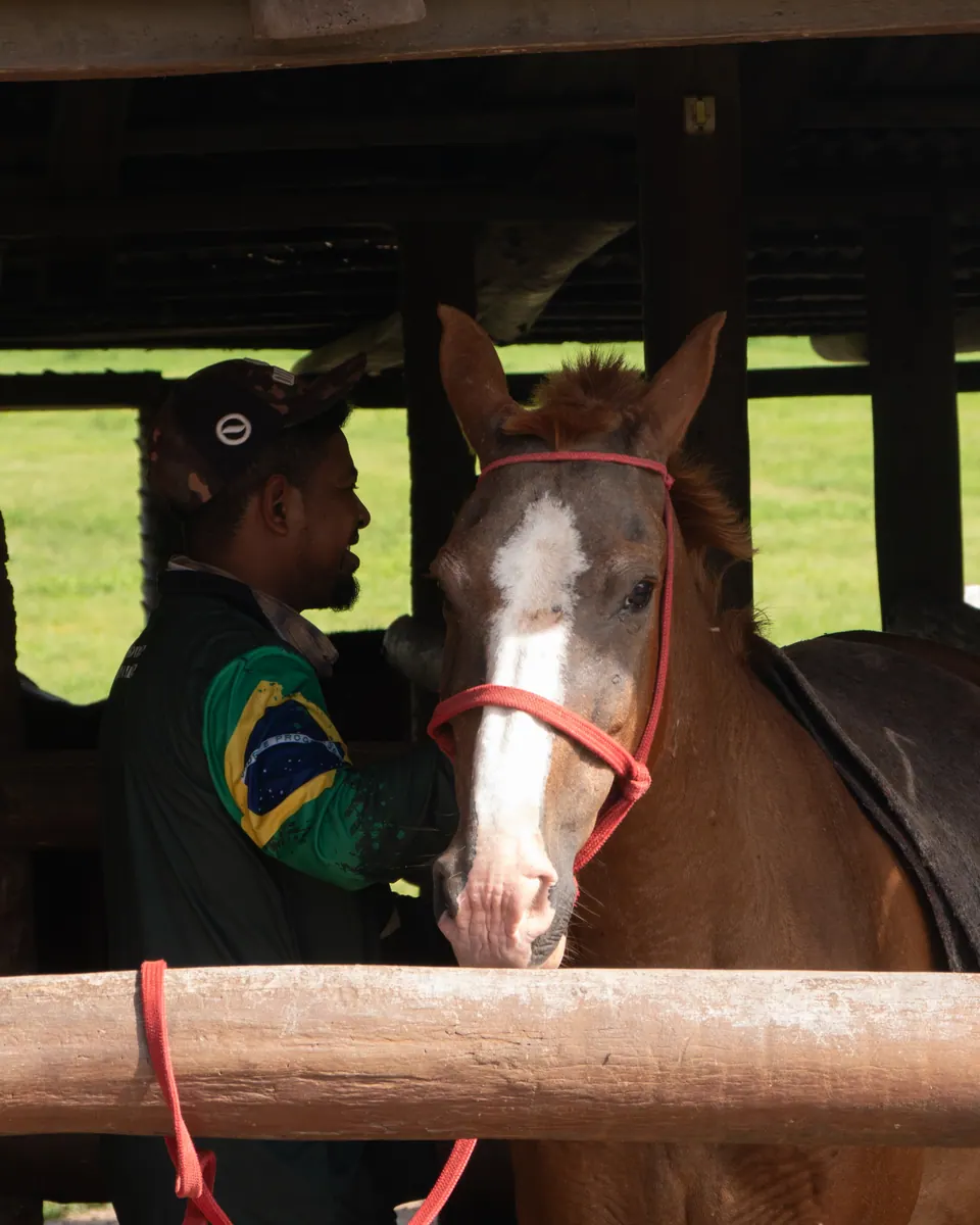 Horses being saddled at the stable
