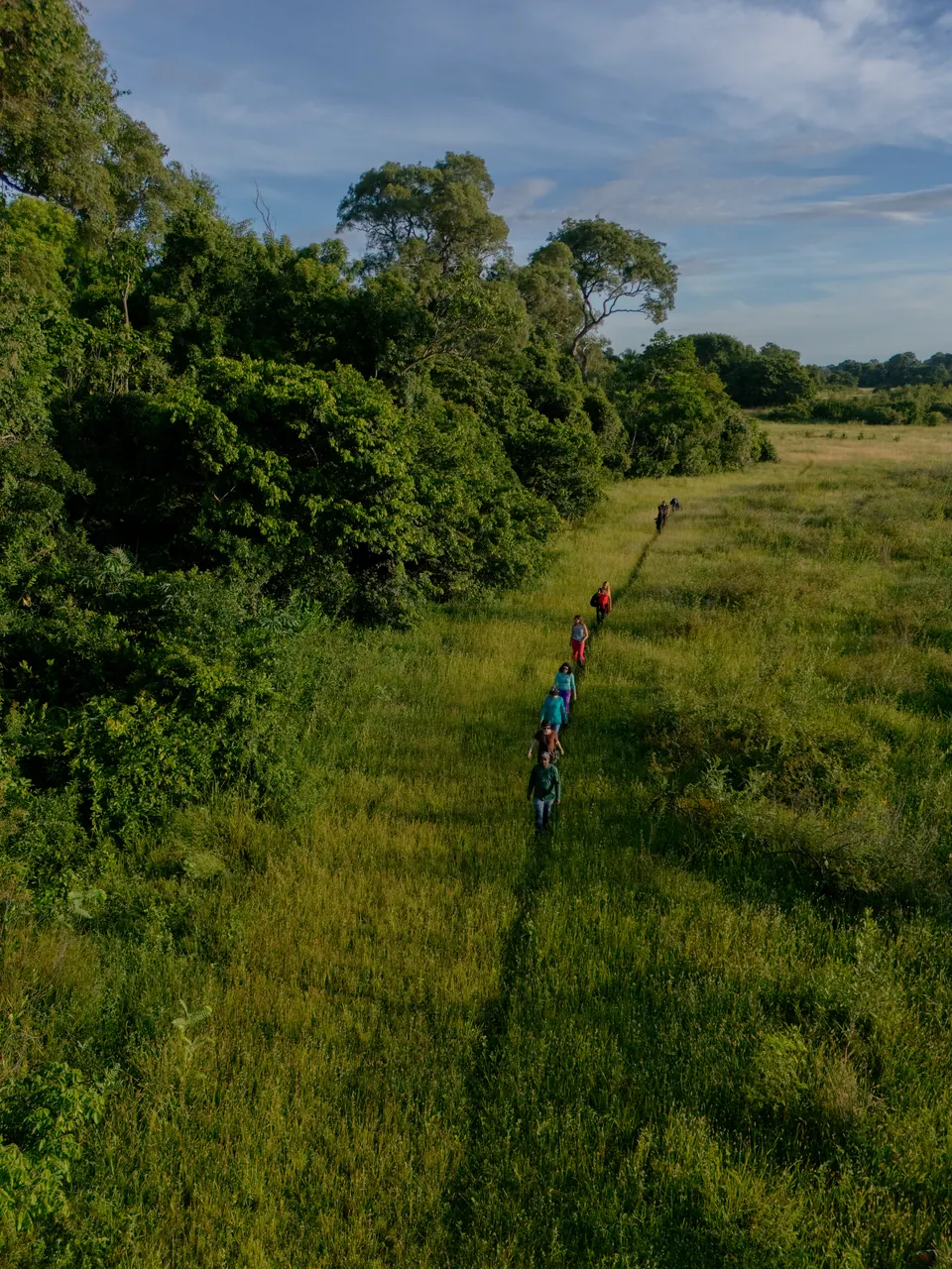 Guide and guests walking a forest edge
